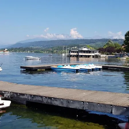 Camelia * Palazzo Canavese