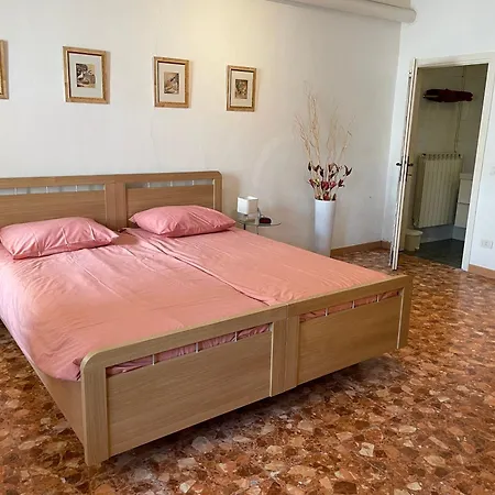 Camelia * Palazzo Canavese