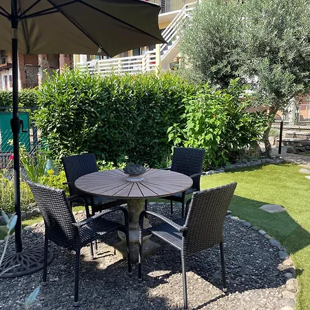 Camelia * Palazzo Canavese